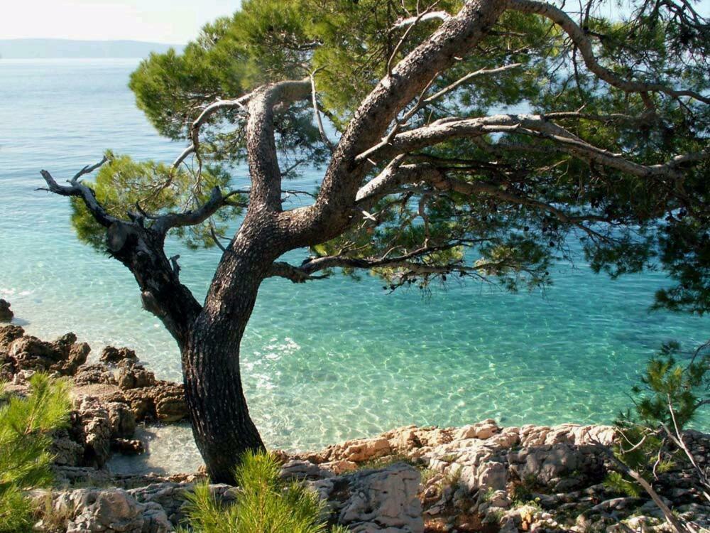 Apartmani Milka I Jozo Omiš Eksteriør billede
